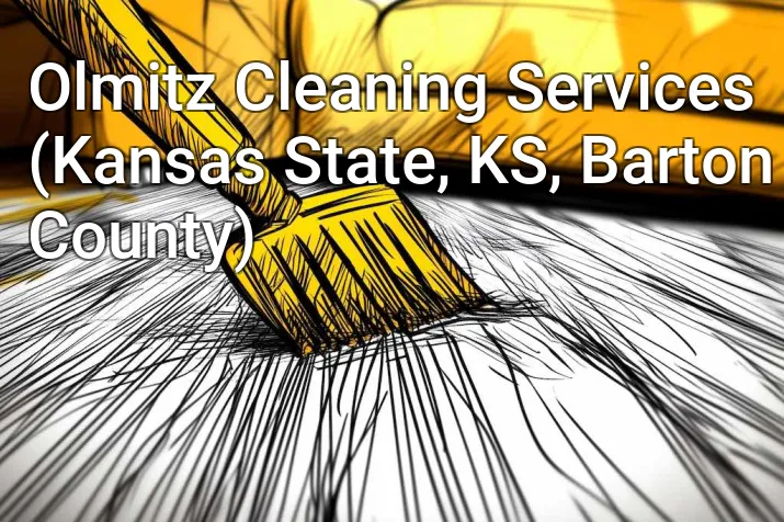 Olmitz Cleaning Services (Kansas State, KS, Barton County)