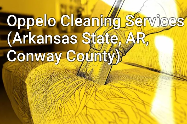 Oppelo Cleaning Services (Arkansas State, AR, Conway County)