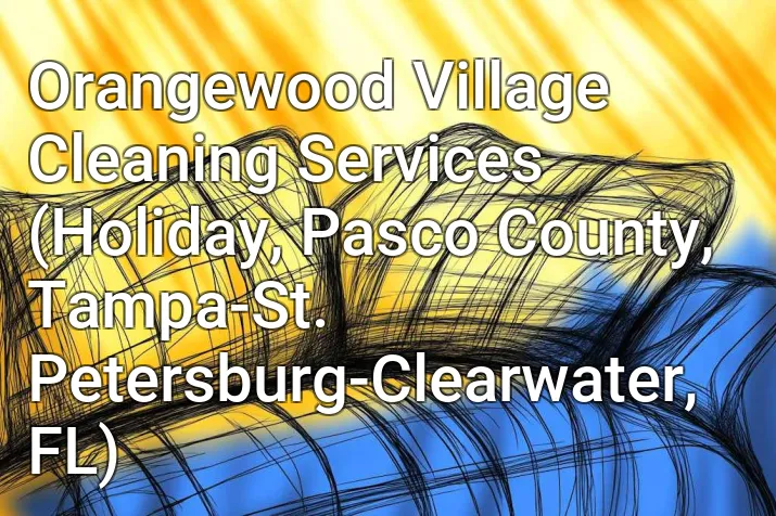 Orangewood Village Cleaning Services (Holiday, Pasco County, Tampa-St. Petersburg-Clearwater, FL)