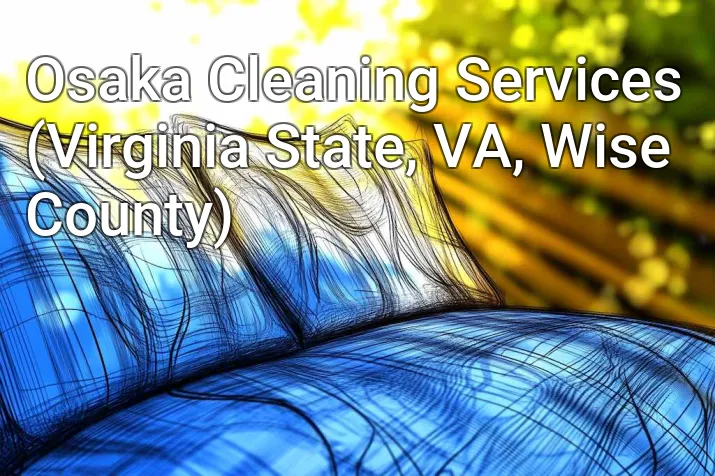 Osaka Cleaning Services (Virginia State, VA, Wise County)