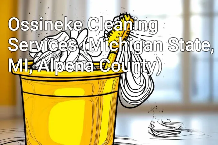 Ossineke Cleaning Services (Michigan State, MI, Alpena County)