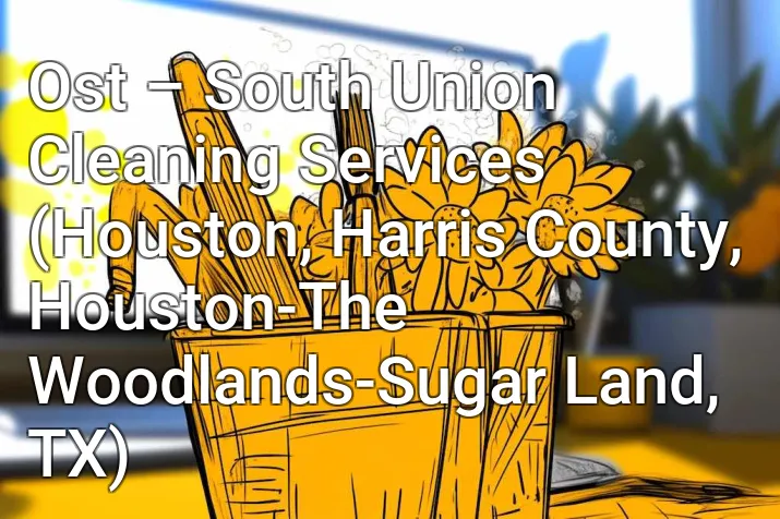 Ost – South Union Cleaning Services (Houston, Harris County, Houston-The Woodlands-Sugar Land, TX)
