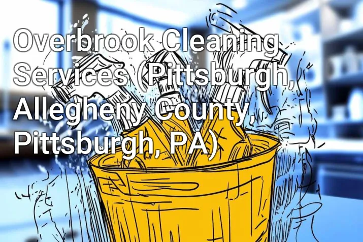 Overbrook Cleaning Services (Pittsburgh, Allegheny County, Pittsburgh, PA)