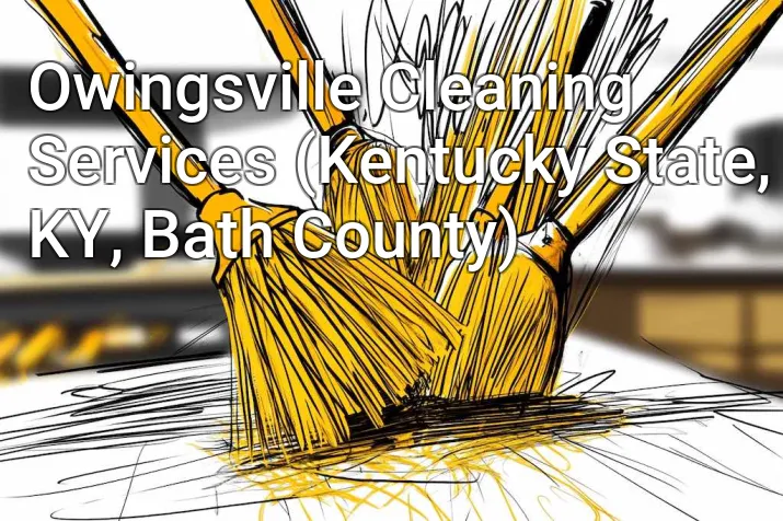 Owingsville Cleaning Services (Kentucky State, KY, Bath County)