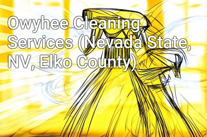 Owyhee Cleaning Services (Nevada State, NV, Elko County)