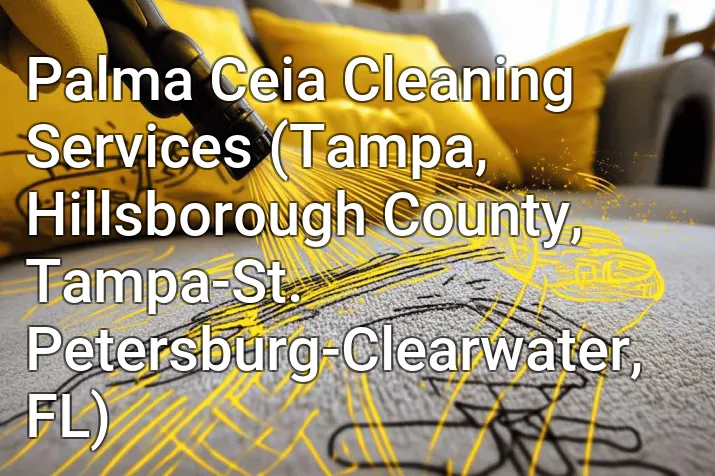 Palma Ceia Cleaning Services (Tampa, Hillsborough County, Tampa-St. Petersburg-Clearwater, FL)