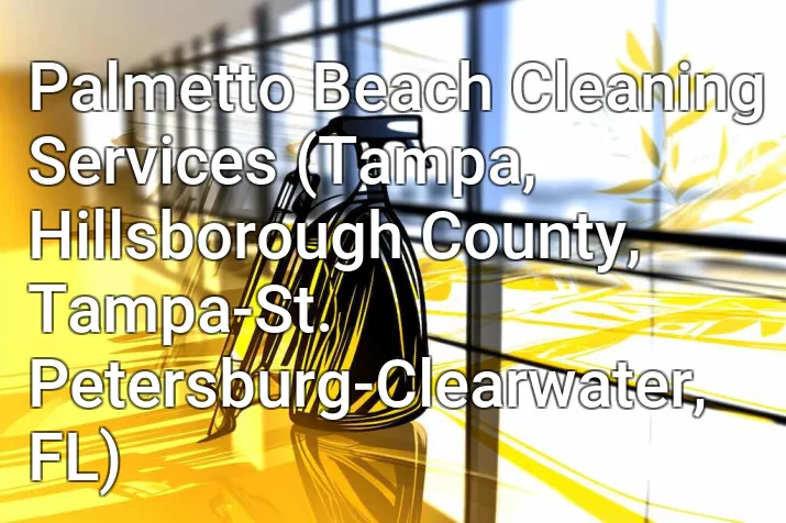 Palmetto Beach Cleaning Services (Tampa, Hillsborough County, Tampa-St. Petersburg-Clearwater, FL)