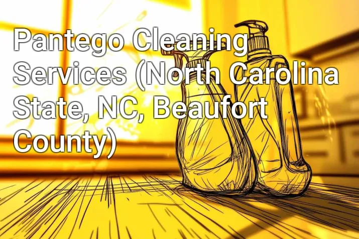 Pantego Cleaning Services (North Carolina State, NC, Beaufort County)