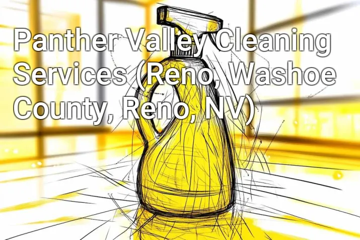 Panther Valley Cleaning Services (Reno, Washoe County, Reno, NV)