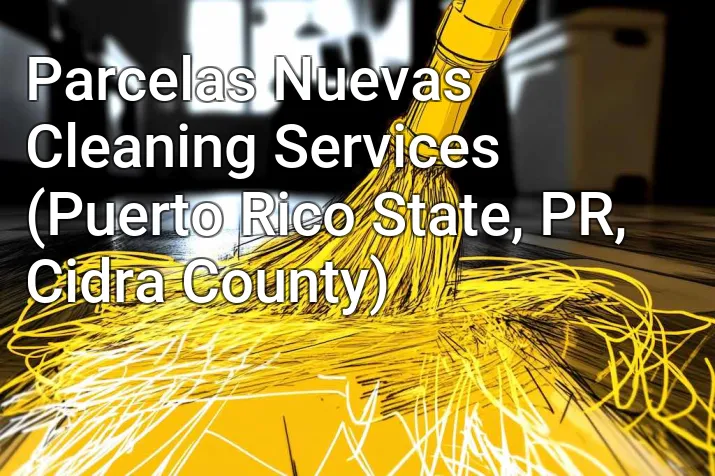 Parcelas Nuevas Cleaning Services (Puerto Rico State, PR, Cidra County)