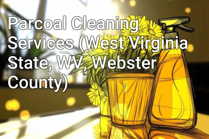 Parcoal Cleaning Services (West Virginia State, WV, Webster County)