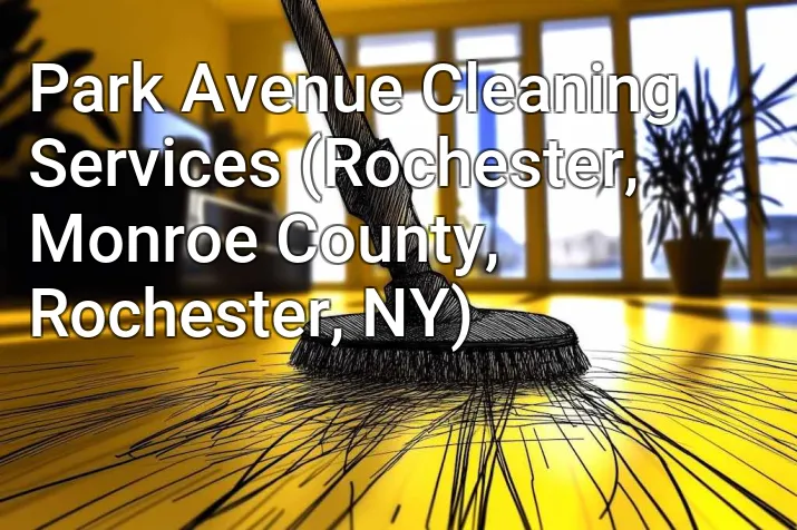 Park Avenue Cleaning Services (Rochester, Monroe County, Rochester, NY)