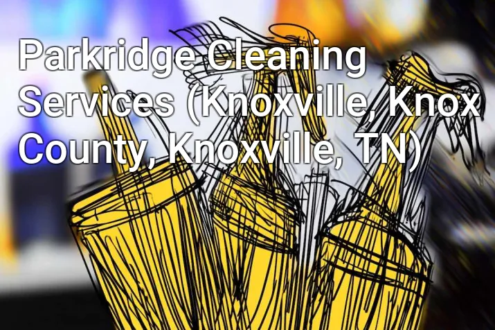 Parkridge Cleaning Services (Knoxville, Knox County, Knoxville, TN)
