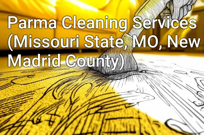 Parma Cleaning Services (Missouri State, MO, New Madrid County)