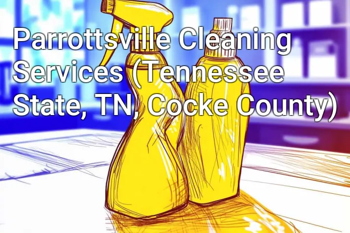 Parrottsville Cleaning Services (Tennessee State, TN, Cocke County)