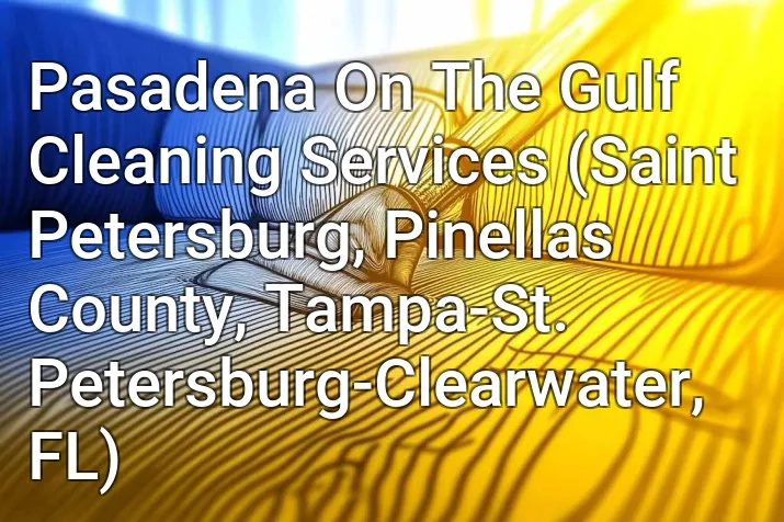 Pasadena On The Gulf Cleaning Services (Saint Petersburg, Pinellas County, Tampa-St. Petersburg-Clearwater, FL)