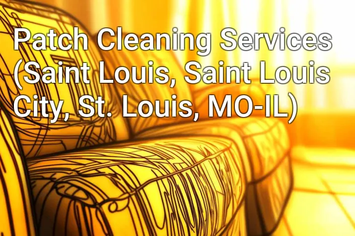 Patch Cleaning Services (Saint Louis, Saint Louis City, St. Louis, MO-IL)