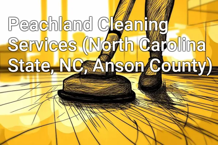 Peachland Cleaning Services (North Carolina State, NC, Anson County)