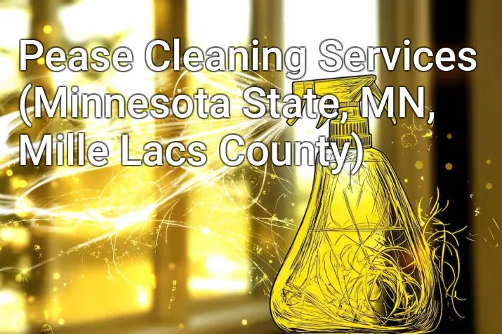 Pease Cleaning Services (Minnesota State, MN, Mille Lacs County)