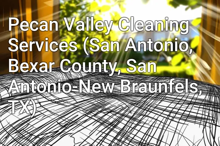 Pecan Valley Cleaning Services (San Antonio, Bexar County, San Antonio-New Braunfels, TX)
