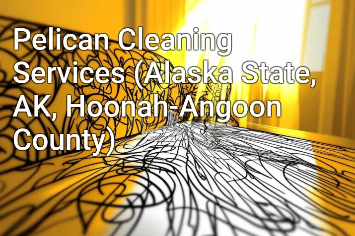Pelican Cleaning Services (Alaska State, AK, Hoonah-Angoon County)