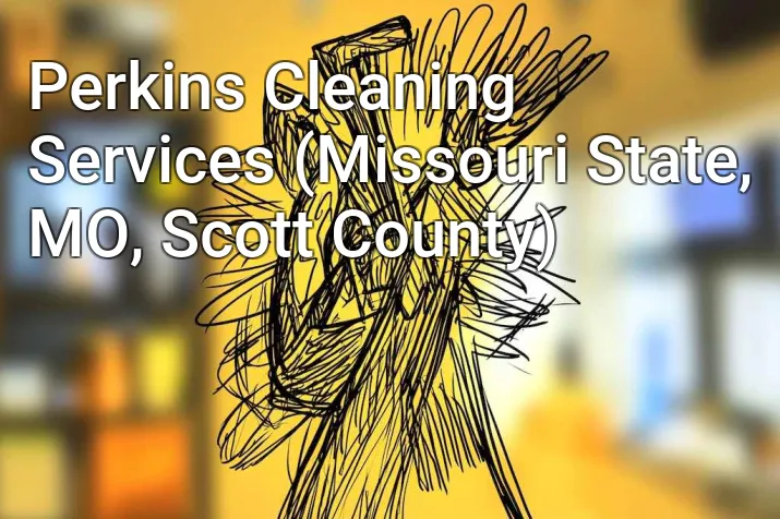 Perkins Cleaning Services (Missouri State, MO, Scott County)