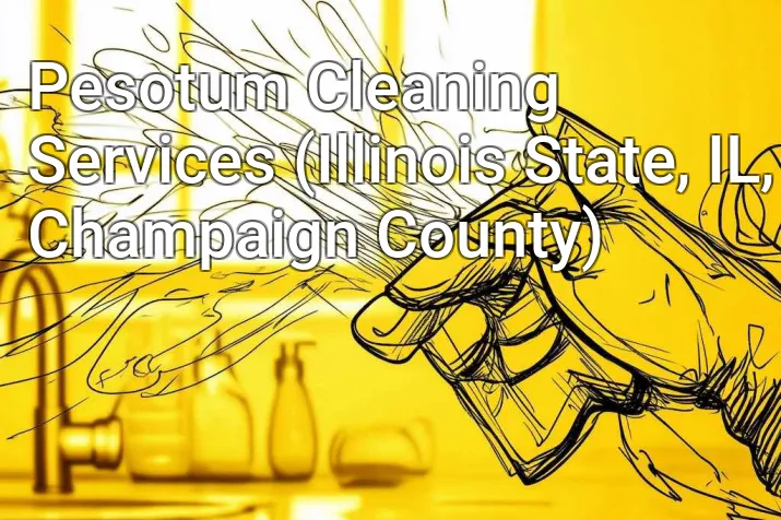 Pesotum Cleaning Services (Illinois State, IL, Champaign County)