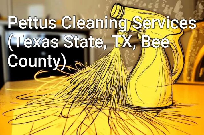 Pettus Cleaning Services (Texas State, TX, Bee County)