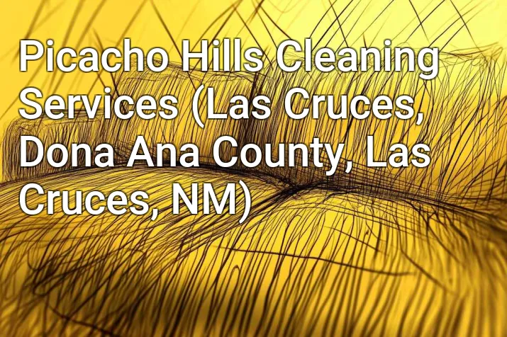 Picacho Hills Cleaning Services (Las Cruces, Dona Ana County, Las Cruces, NM)