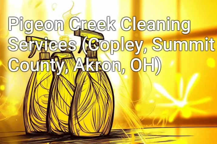 Pigeon Creek Cleaning Services (Copley, Summit County, Akron, OH)