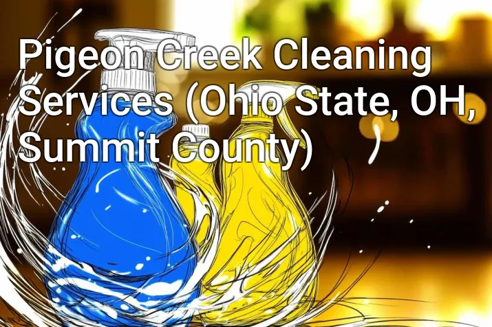 Pigeon Creek Cleaning Services (Ohio State, OH, Summit County)