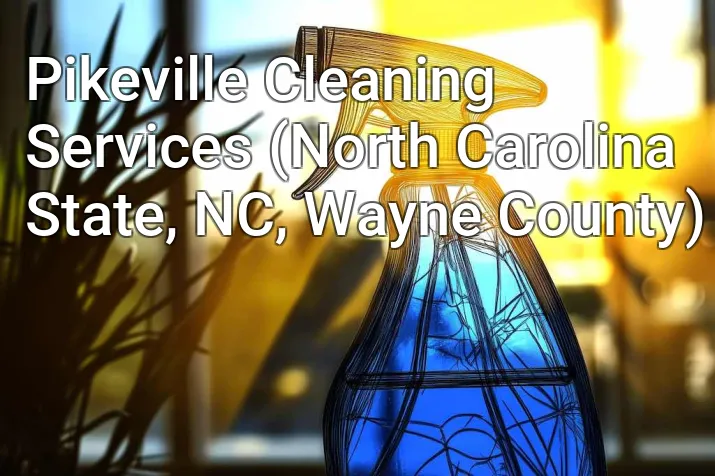 Pikeville Cleaning Services (North Carolina State, NC, Wayne County)