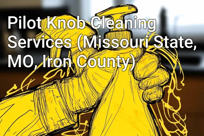 Pilot Knob Cleaning Services (Missouri State, MO, Iron County)