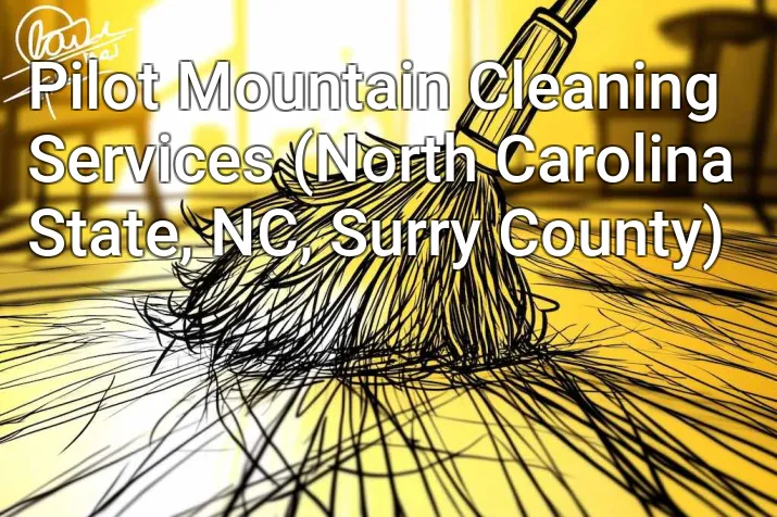 Pilot Mountain Cleaning Services (North Carolina State, NC, Surry County)