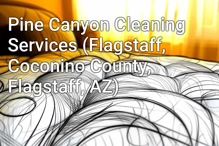 Pine Canyon Cleaning Services (Flagstaff, Coconino County, Flagstaff, AZ)