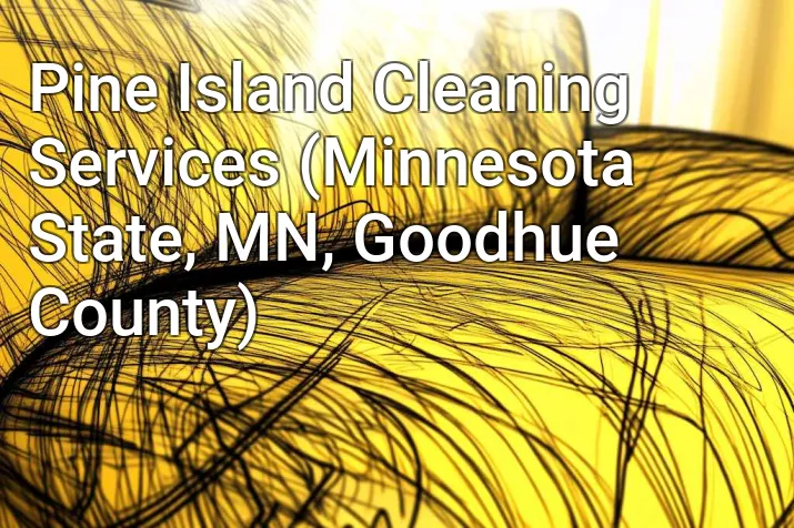 Pine Island Cleaning Services (Minnesota State, MN, Goodhue County)