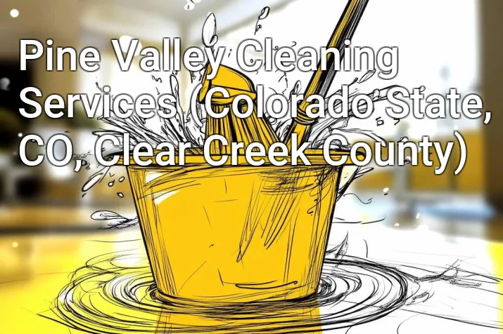 Pine Valley Cleaning Services (Colorado State, CO, Clear Creek County)