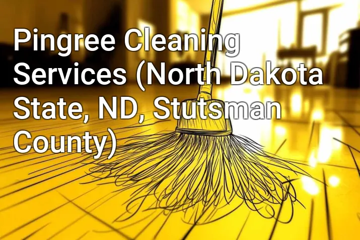 Pingree Cleaning Services (North Dakota State, ND, Stutsman County)