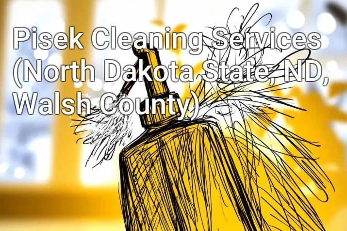 Pisek Cleaning Services (North Dakota State, ND, Walsh County)