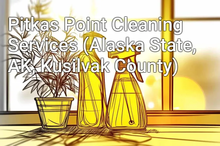 Pitkas Point Cleaning Services (Alaska State, AK, Kusilvak County)