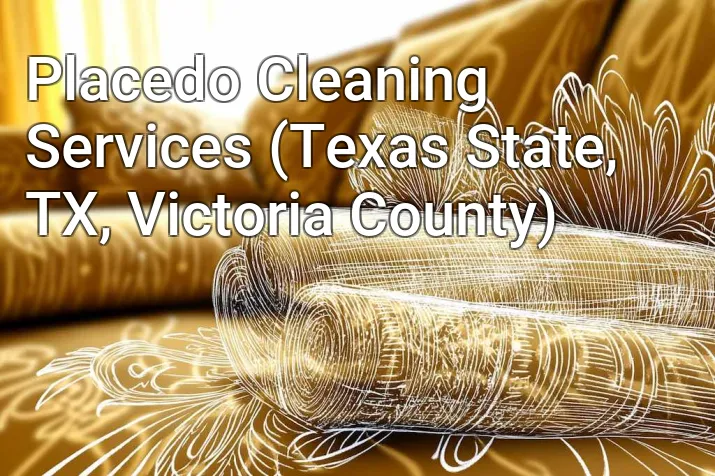 Placedo Cleaning Services (Texas State, TX, Victoria County)
