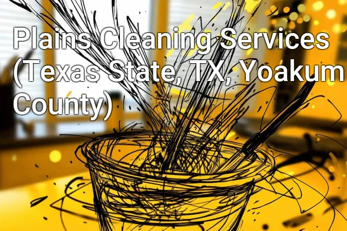 Plains Cleaning Services (Texas State, TX, Yoakum County)