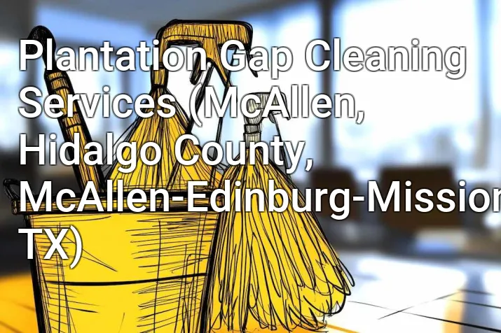 Plantation Gap Cleaning Services (McAllen, Hidalgo County, McAllen-Edinburg-Mission, TX)