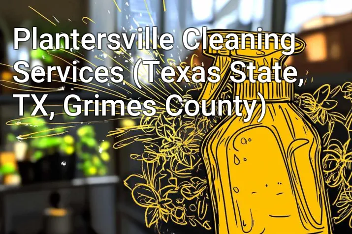 Plantersville Cleaning Services (Texas State, TX, Grimes County)