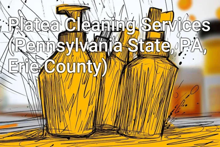Platea Cleaning Services (Pennsylvania State, PA, Erie County)