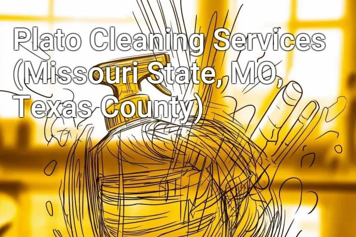 Plato Cleaning Services (Missouri State, MO, Texas County)