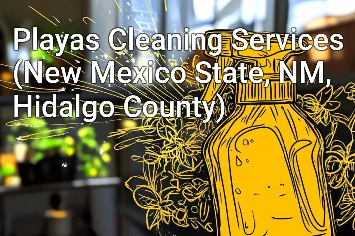 Playas Cleaning Services (New Mexico State, NM, Hidalgo County)
