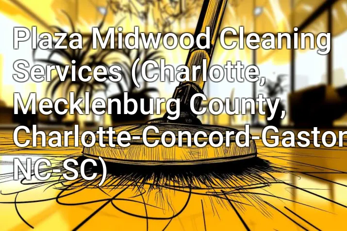 Plaza Midwood Cleaning Services (Charlotte, Mecklenburg County, Charlotte-Concord-Gastonia, NC-SC)