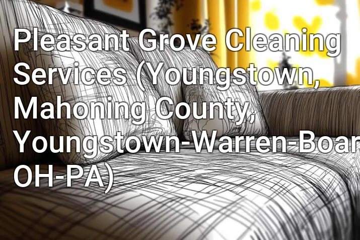 Pleasant Grove Cleaning Services (Youngstown, Mahoning County, Youngstown-Warren-Boardman, OH-PA)