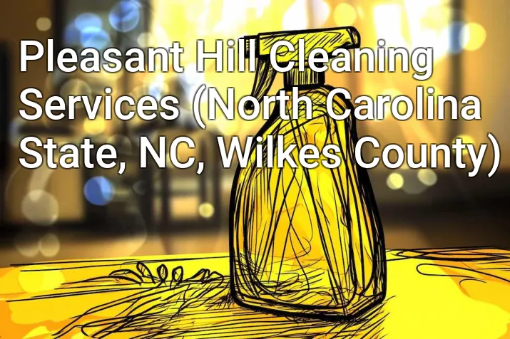 Pleasant Hill Cleaning Services (North Carolina State, NC, Wilkes County)